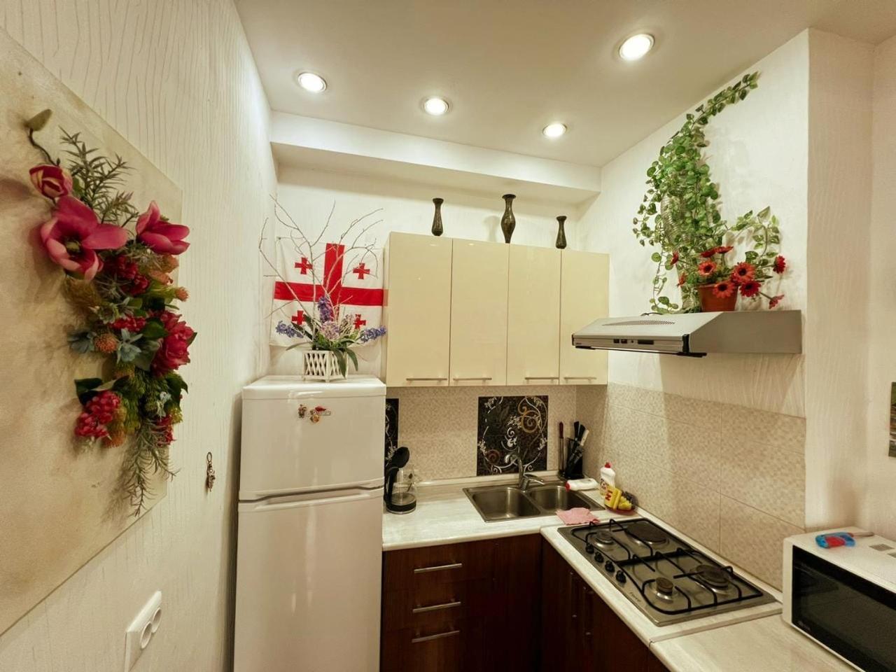 Cozy Apartment In The City Center Mtatsminda Tbilisi Ngoại thất bức ảnh